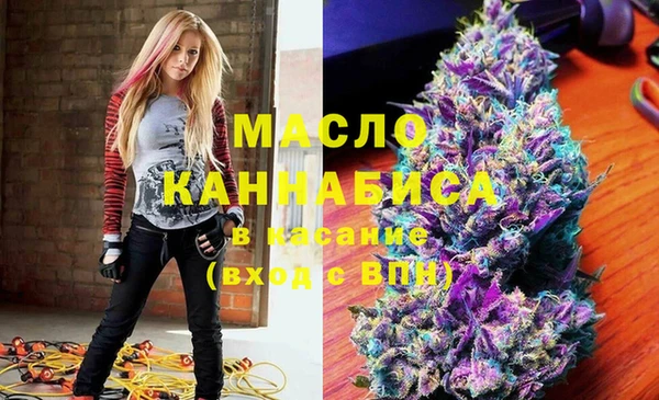 стаф Елабуга