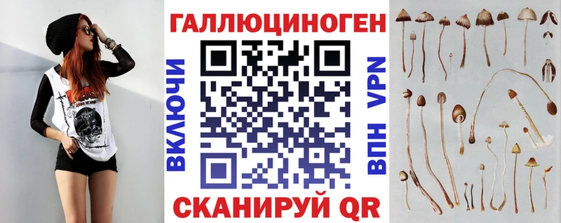 Купить где  Кашира  Галлюциногенные грибы Psilocybe 